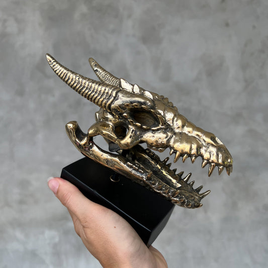 Crâne de dragon