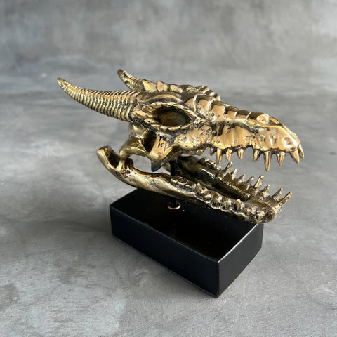 Crâne de dragon