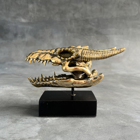 Crâne de dragon