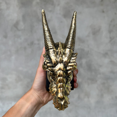 Crâne de dragon