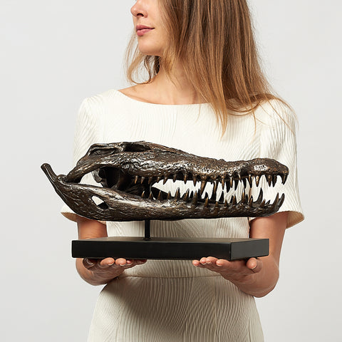 Crâne de crocodile marin