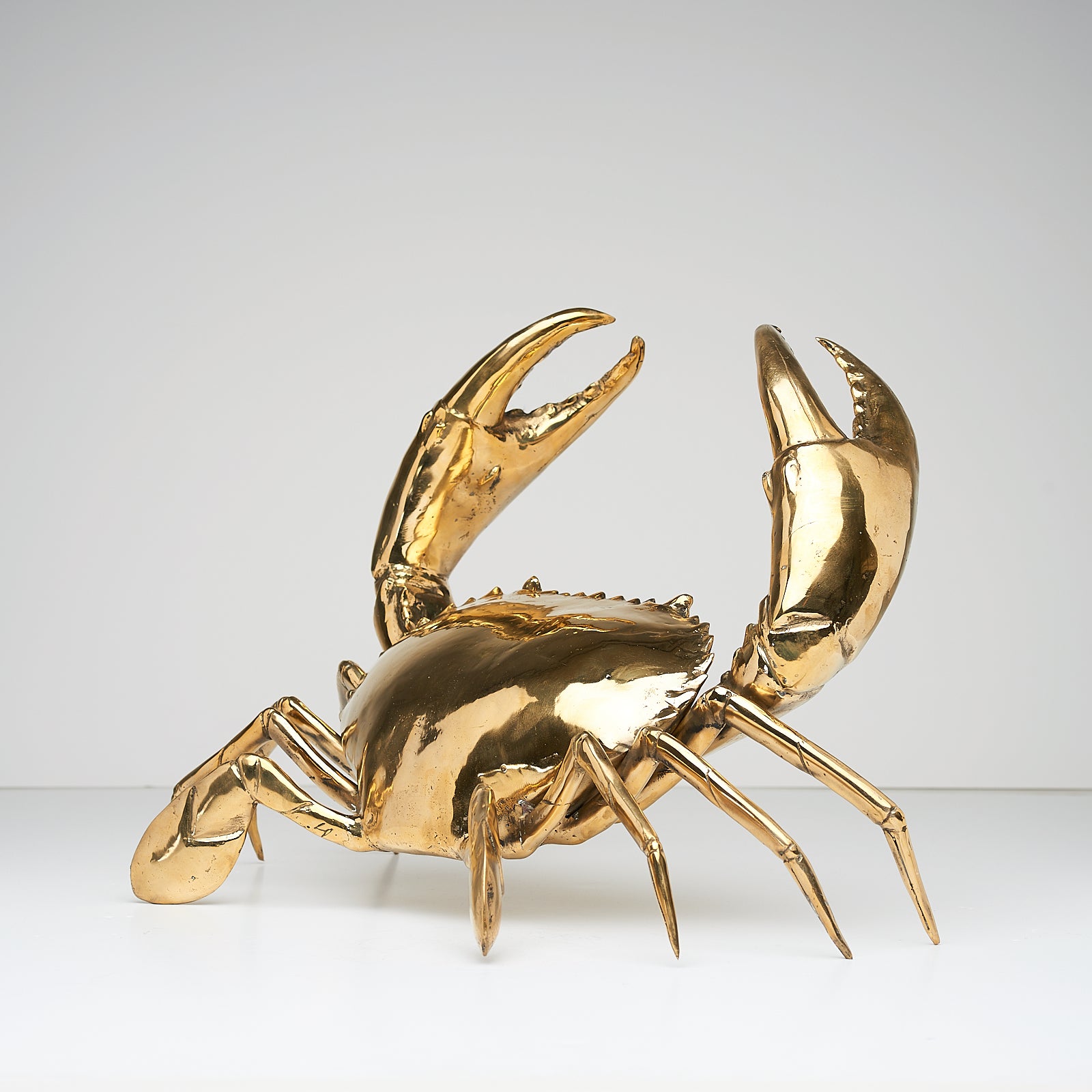 Réplique réaliste de crabe