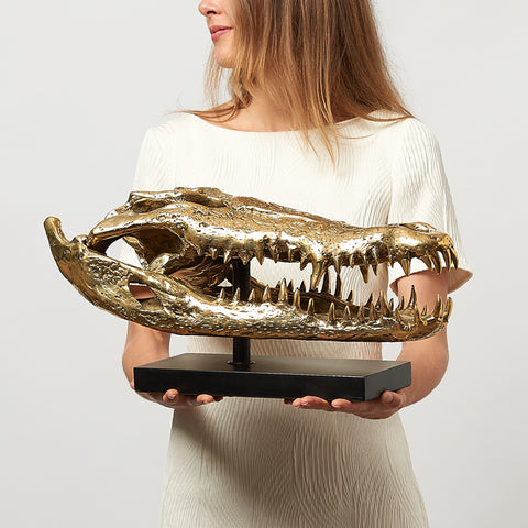 Crâne de crocodile marin