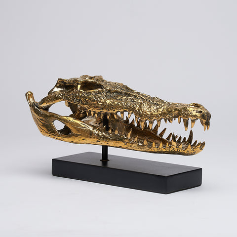 Crâne de crocodile marin
