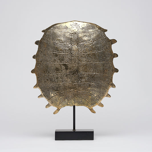 Carapace de tortue spectaculaire