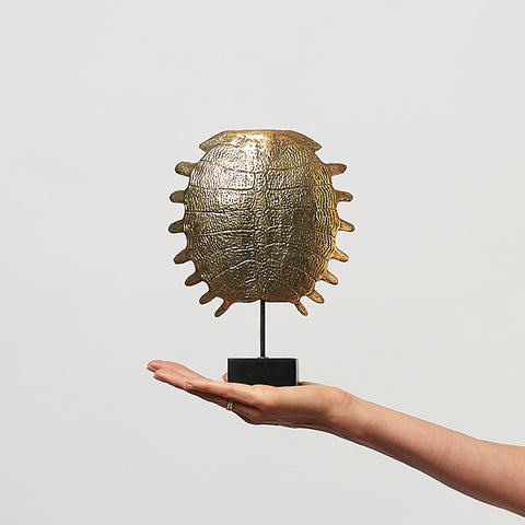 Carapace de tortue spectaculaire