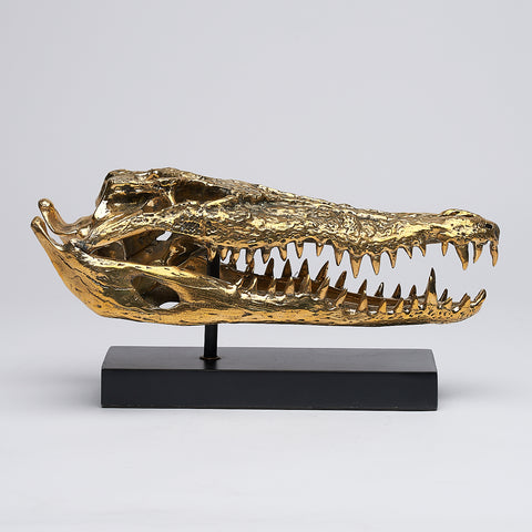 Crâne de crocodile marin