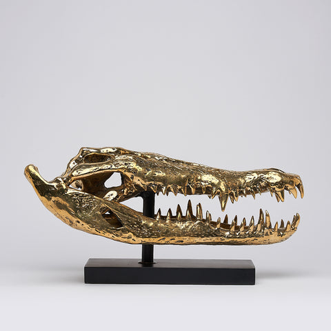 Crâne de crocodile marin
