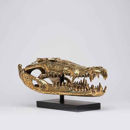 Crâne de crocodile marin