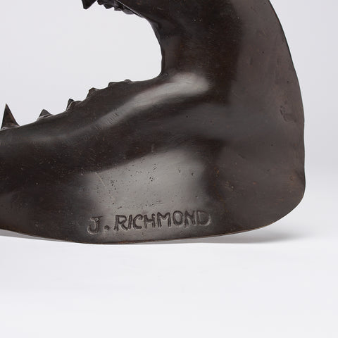 Mâchoire de requin mako