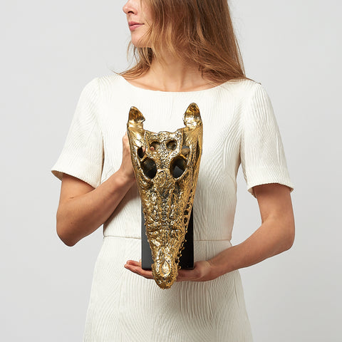 Crâne de crocodile marin