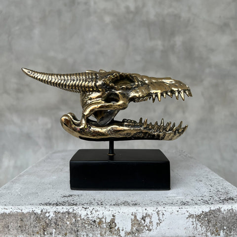 Crâne de dragon
