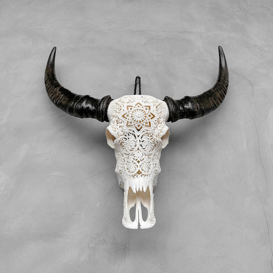 Constellation | Crâne de Buffle Sculpté à La Main
