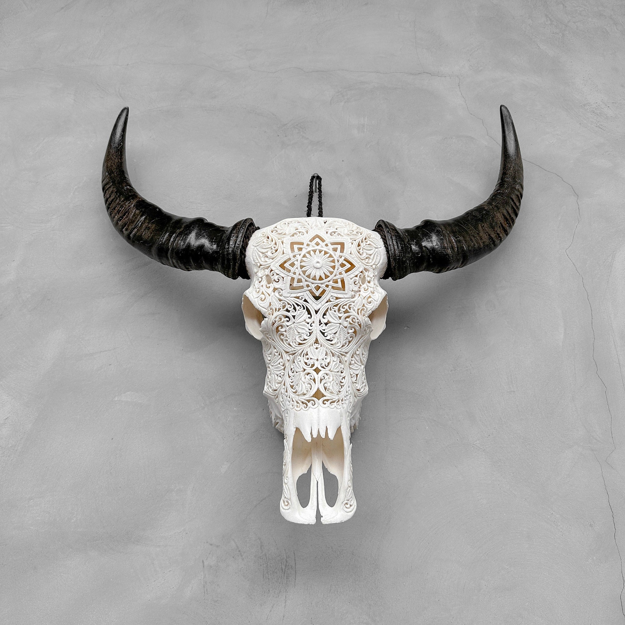 Constellation | Crâne de Buffle Sculpté à La Main