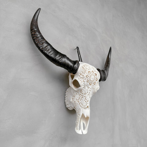 Constellation | Crâne de Buffle Sculpté à La Main