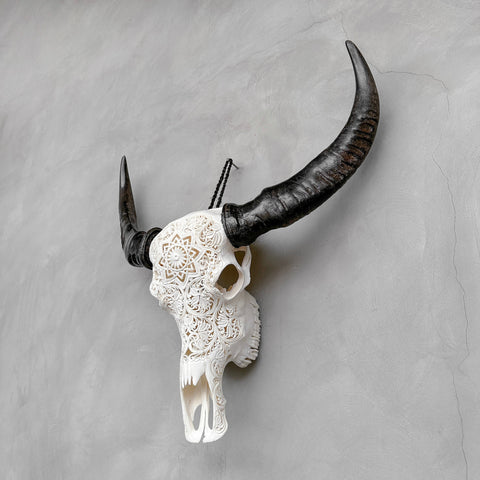 Constellation | Crâne de Buffle Sculpté à La Main