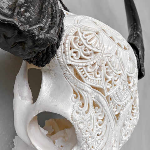 Trekkeur tribal | Crâne de buffle sculpté à la main