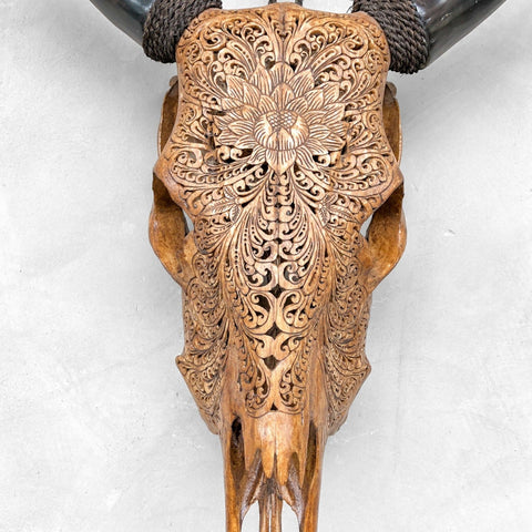 Lotus de jardin | Crâne de Vache Sculpté à la Main