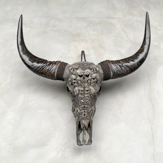 Crâne kumis | Crâne de Buffle Sculpté à la Main