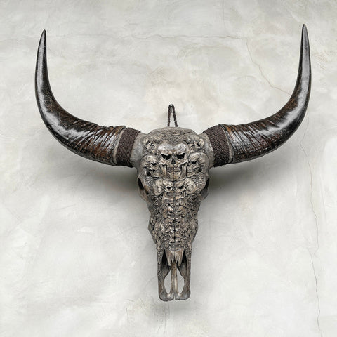 Crâne kumis | Crâne de Buffle Sculpté à la Main