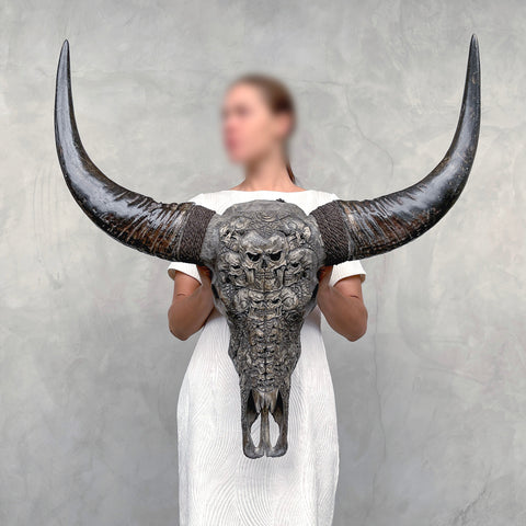 Crâne kumis | Crâne de Buffle Sculpté à la Main