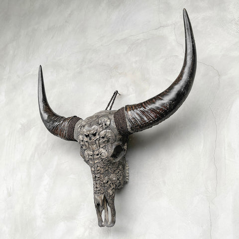 Crâne kumis | Crâne de Buffle Sculpté à la Main