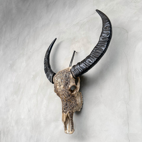 Ganesh Divin | Crâne de Buffle Sculpté à la Main