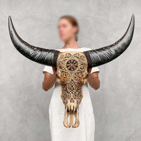 Trisula mythique | Crâne de Buffle Sculpté à la Main