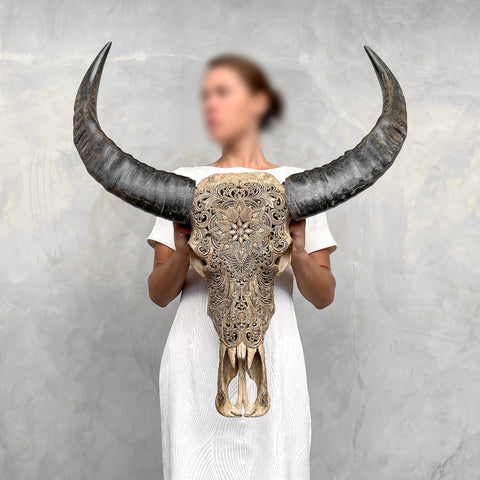 Fleur enchantée | Crâne de Buffle Sculpté à la Main