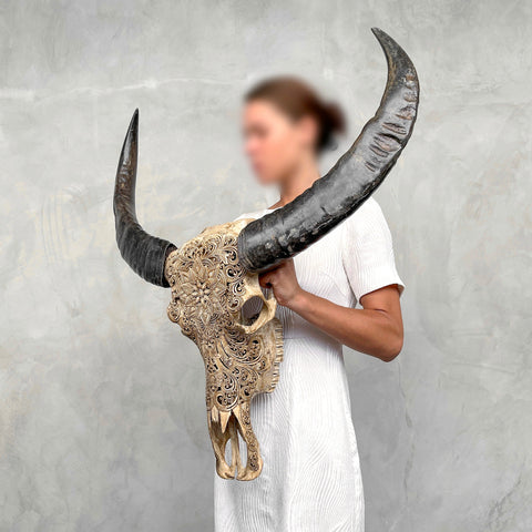 Fleur enchantée | Crâne de Buffle Sculpté à la Main