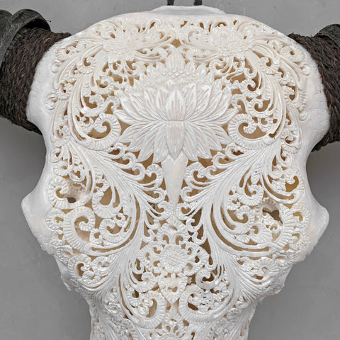 Forteresse Botanique | Crâne de Buffle Sculpté à la Main