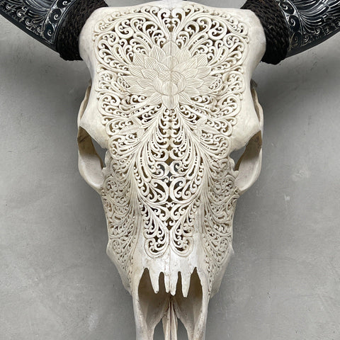 Gloire du Lotus | Crâne de Vache Sculpté à la Main