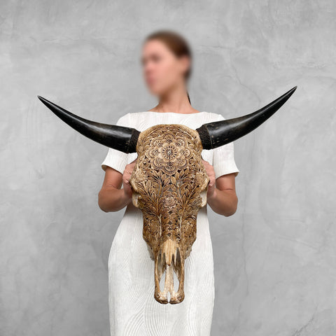 Nid de la nature | Crânes de taureaux sculptés à la main