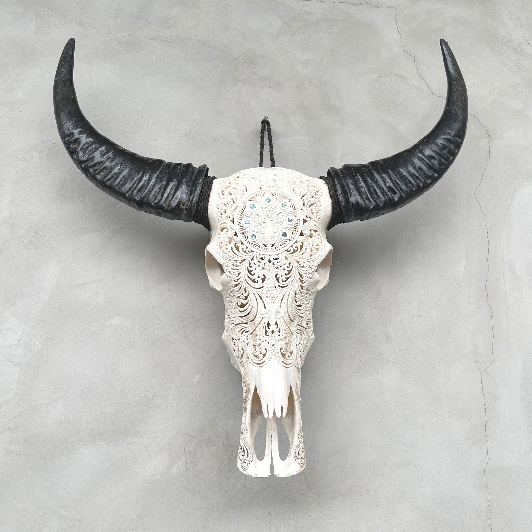 Paon et Ormeaux | Crâne de Buffle Sculpté à la Main