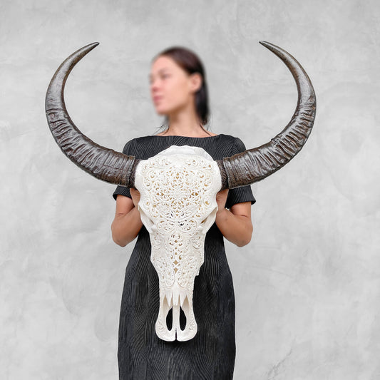 Pétales tranquilles | Crâne de Buffle Sculpté à la Main