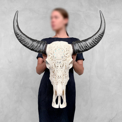 Paon et Ormeaux | Crâne de Buffle Sculpté à la Main