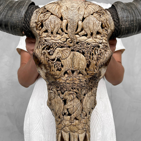 Éléphants rustiques | Crâne de Buffle Sculpté à la Main