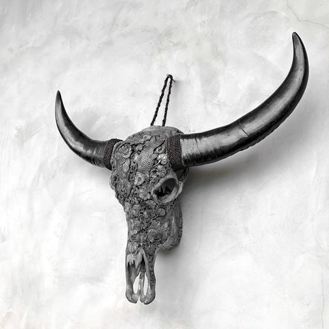 Symphonie koï | Crâne de Buffle Sculpté à la Main