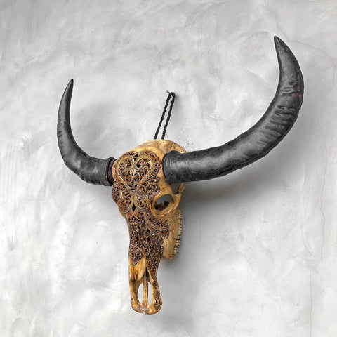 Cordes de cœur | Crâne de Buffle Sculpté à la Main