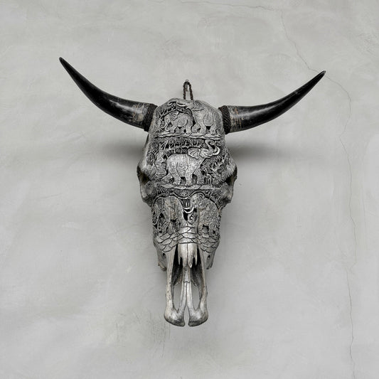 Crâne d'éléphant à défenses | Crânes de taureaux sculptés à la main