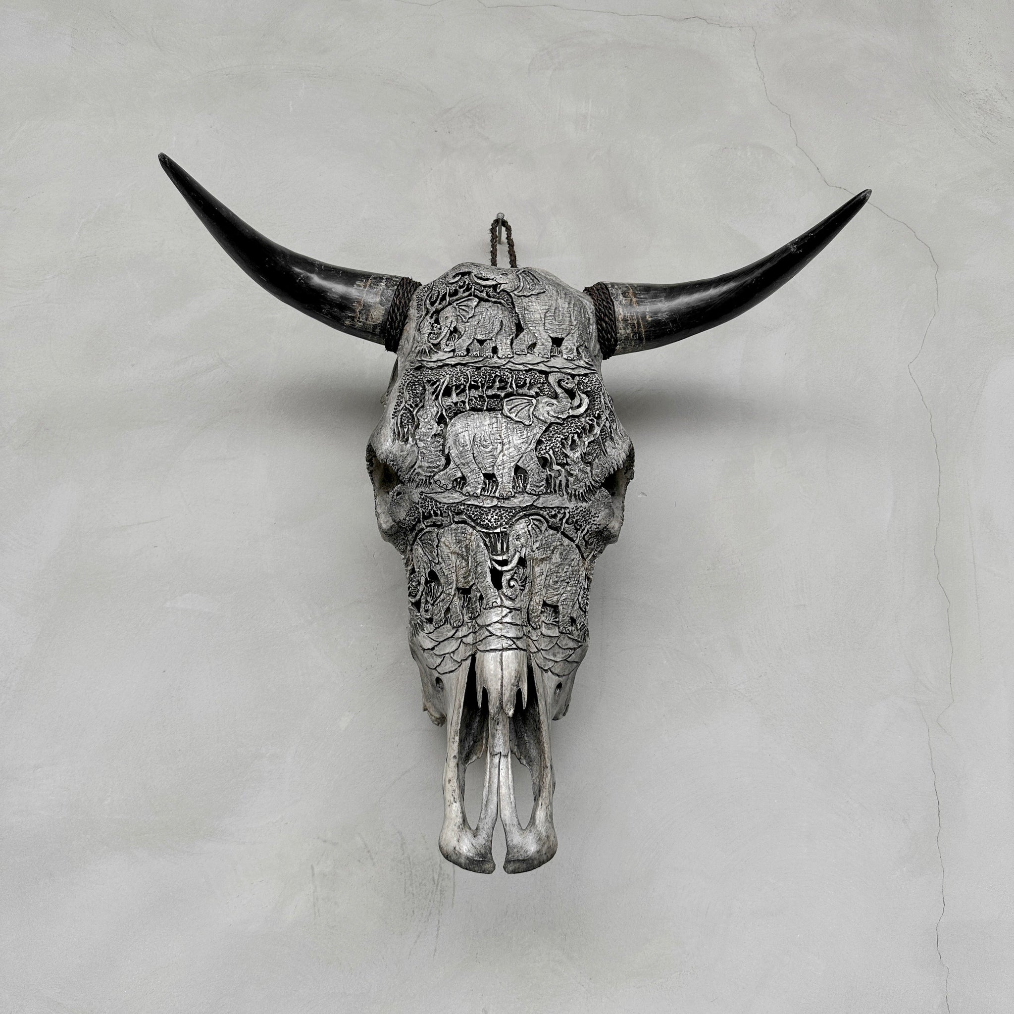 Crâne d'éléphant à défenses | Crânes de taureaux sculptés à la main