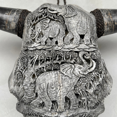 Crâne d'éléphant à défenses | Crânes de taureaux sculptés à la main