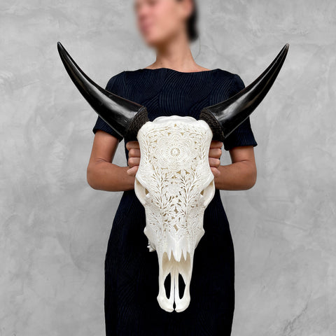 Fleur de bovin | Crâne de Vache Sculpté à la Main