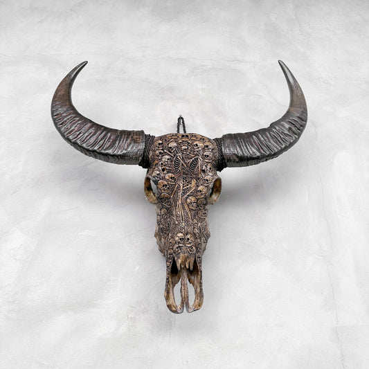 Crânes et squelettes | Crâne de Buffle Sculpté à la Main