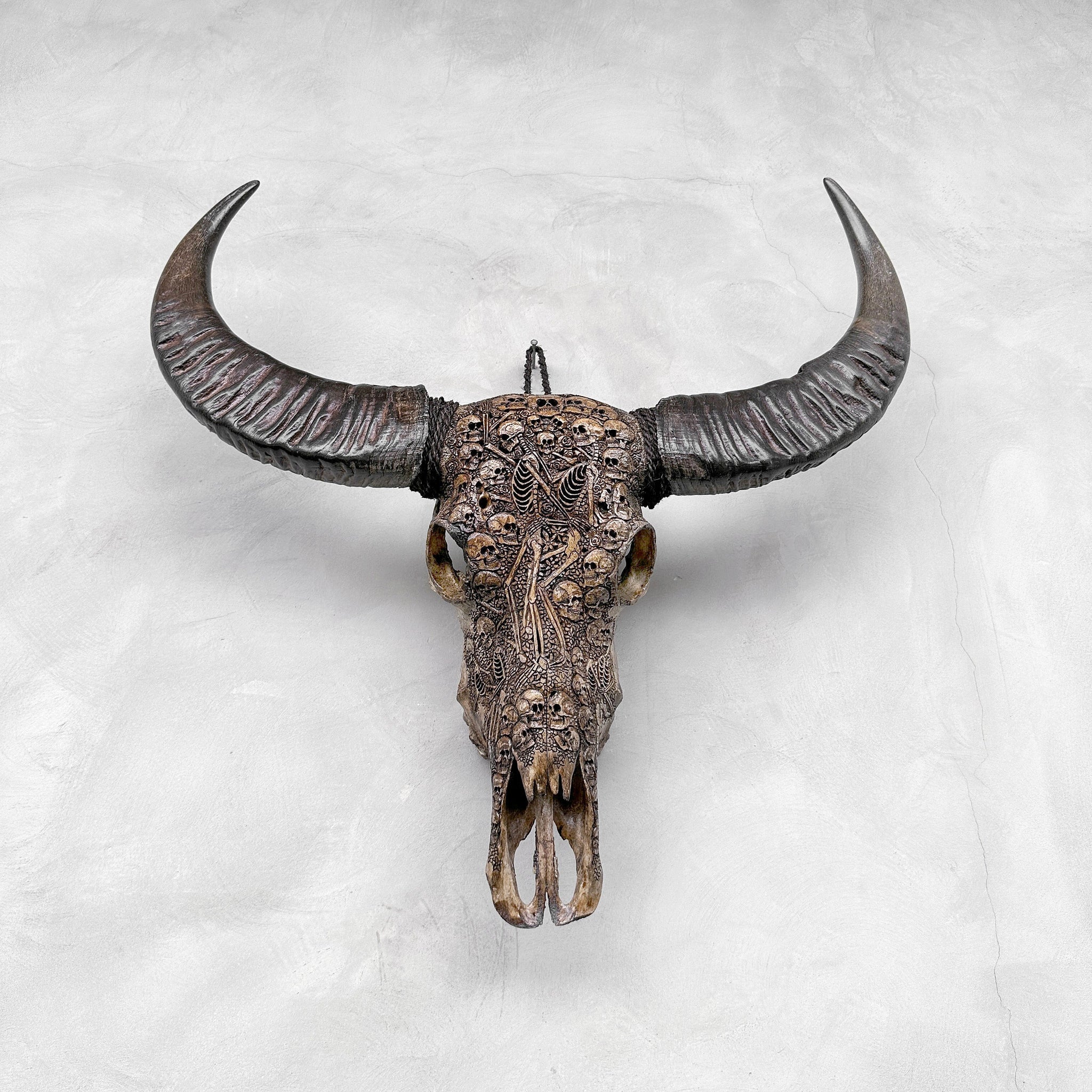 Crânes et squelettes | Crâne de Buffle Sculpté à la Main