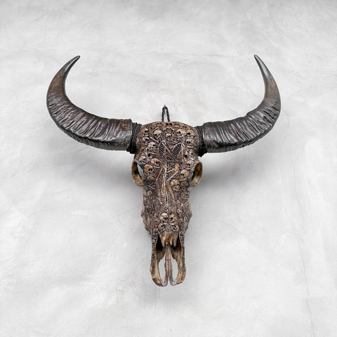 Crânes et squelettes | Crâne de Buffle Sculpté à la Main
