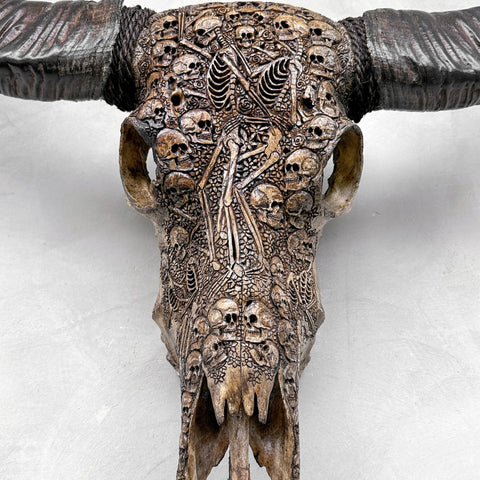 Crânes et squelettes | Crâne de Buffle Sculpté à la Main