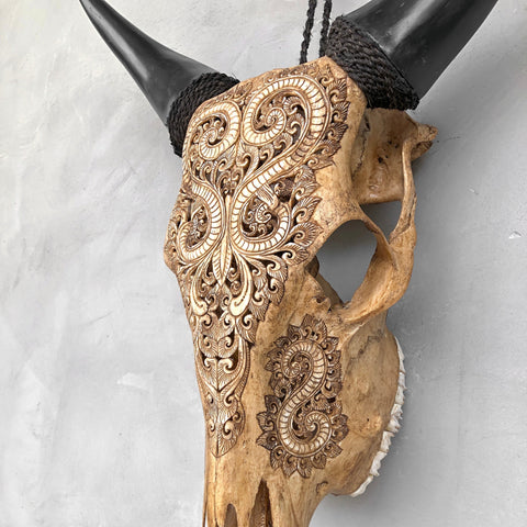 Crête flamboyante | Crâne de vache sculpté à la main