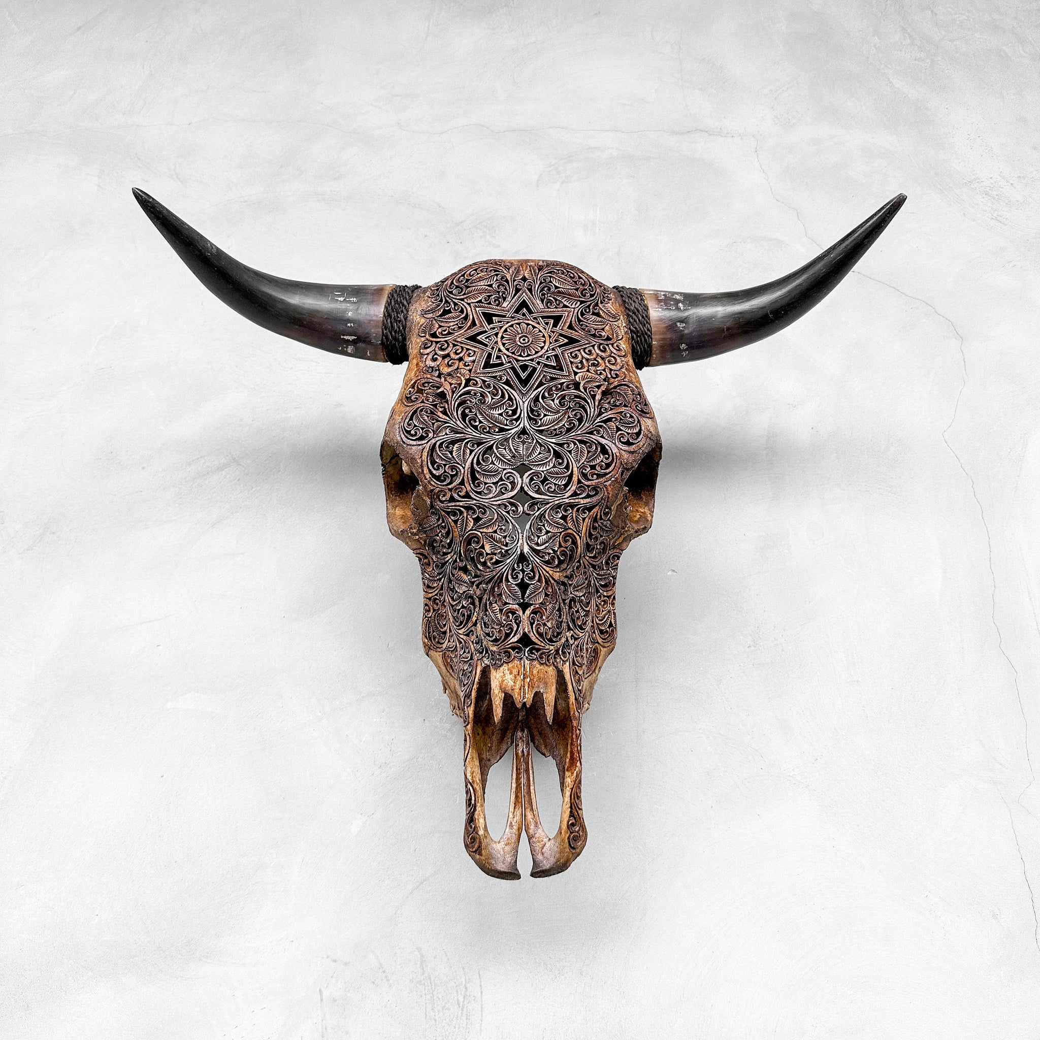 Supernova | Crânes de taureaux sculptés à la main